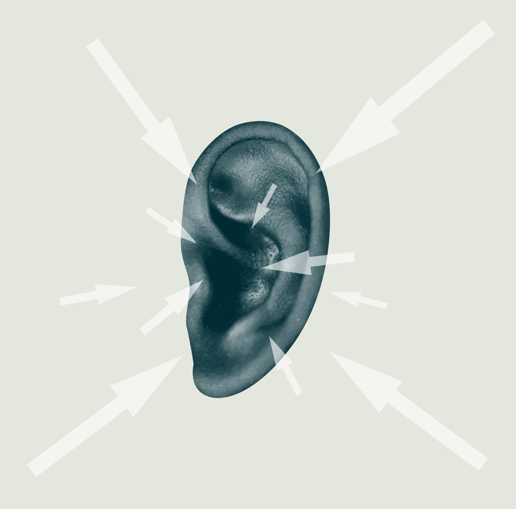 Website - ear